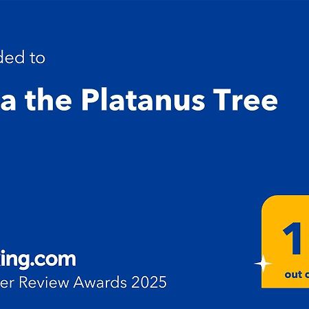 Villa The Platanus Tree Kato Vasiliki 외부 사진