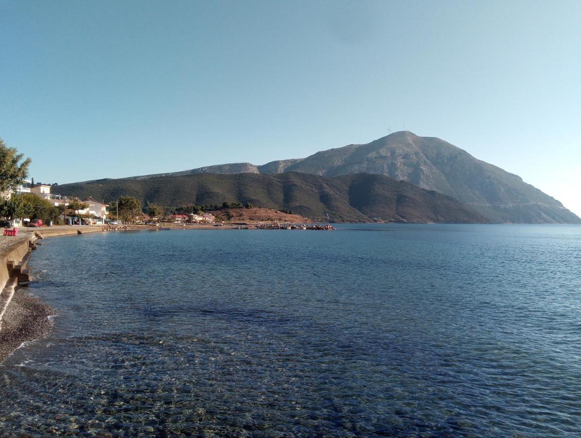 Villa The Platanus Tree Kato Vasiliki 외부 사진
