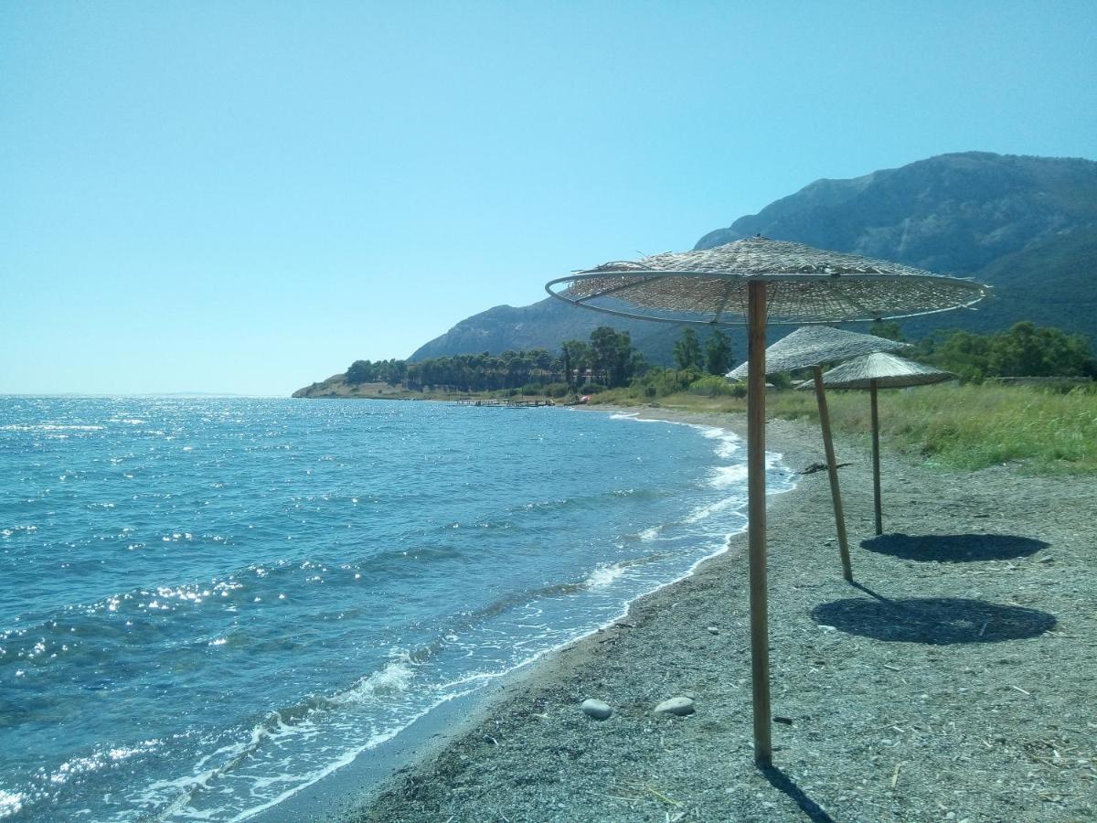 Villa The Platanus Tree Kato Vasiliki 외부 사진