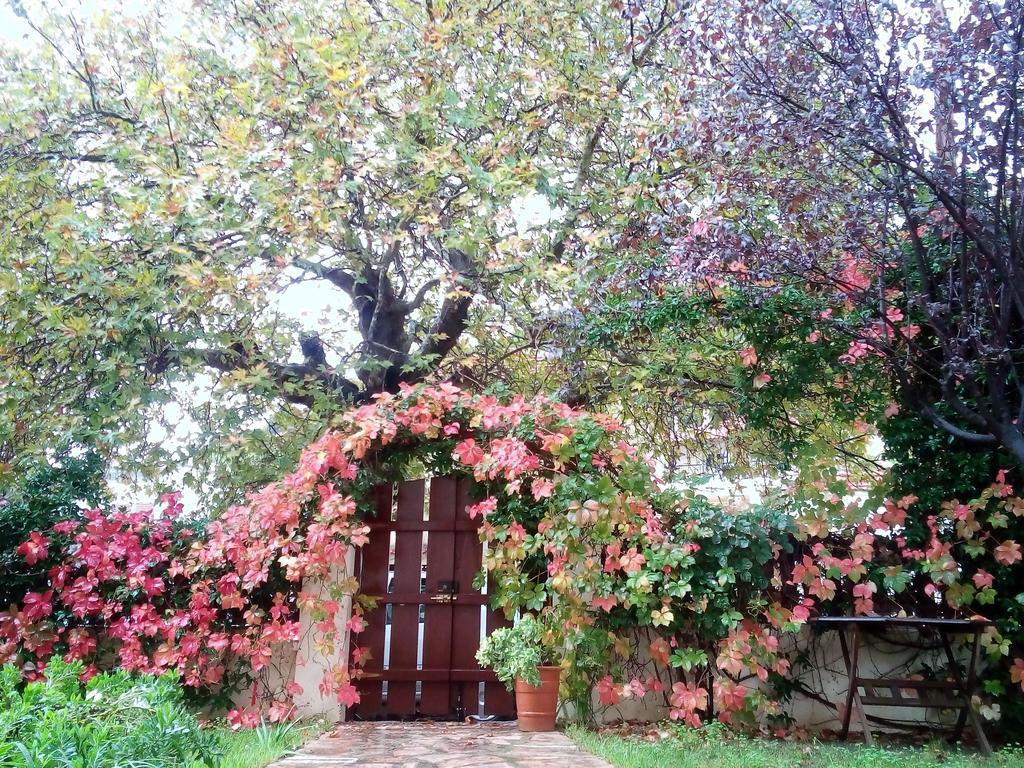 Villa The Platanus Tree Kato Vasiliki 외부 사진