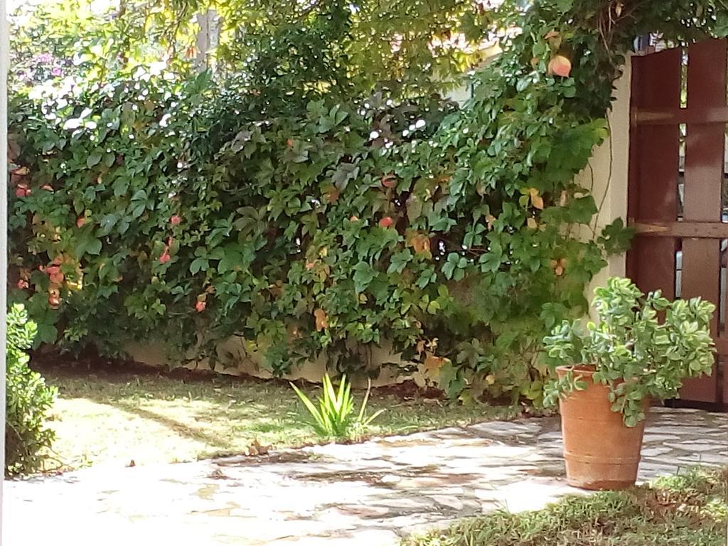 Villa The Platanus Tree Kato Vasiliki 외부 사진