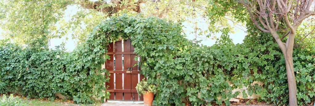 Villa The Platanus Tree Kato Vasiliki 외부 사진