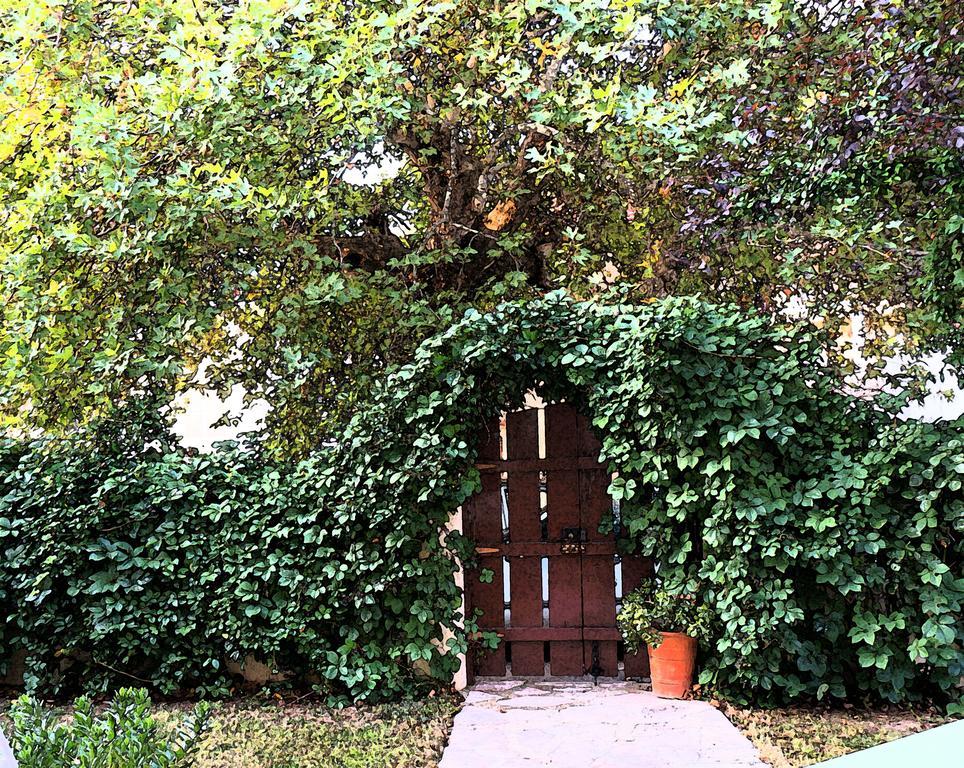 Villa The Platanus Tree Kato Vasiliki 외부 사진
