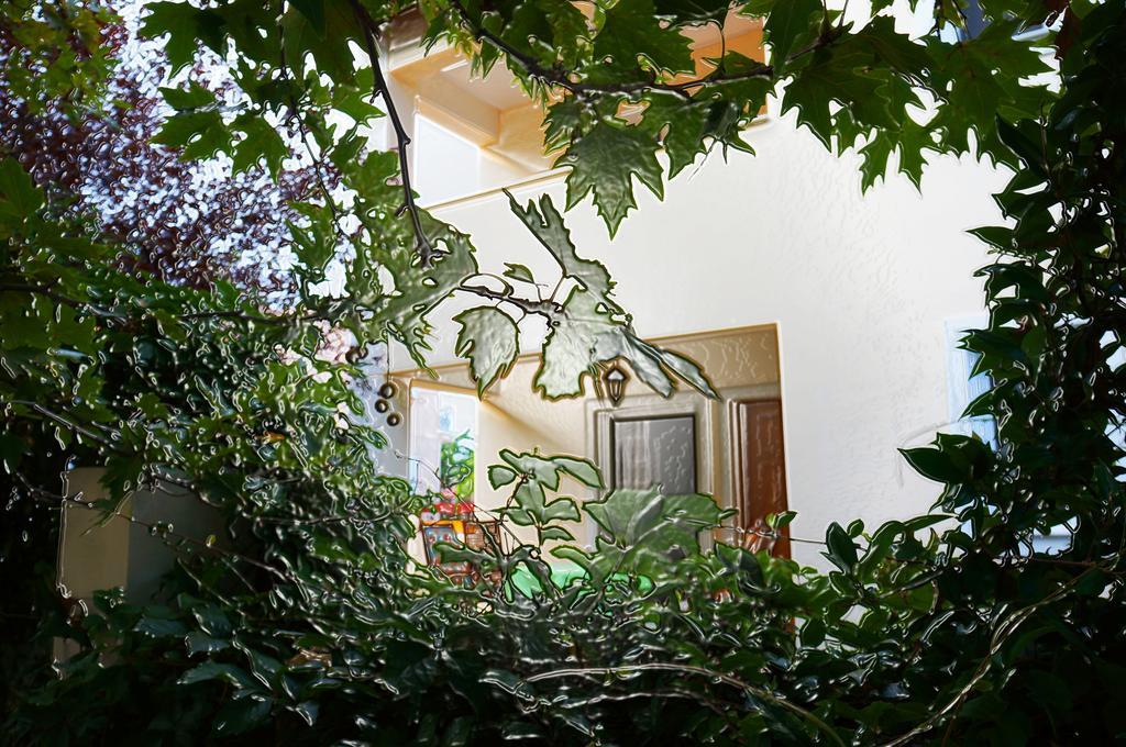 Villa The Platanus Tree Kato Vasiliki 외부 사진