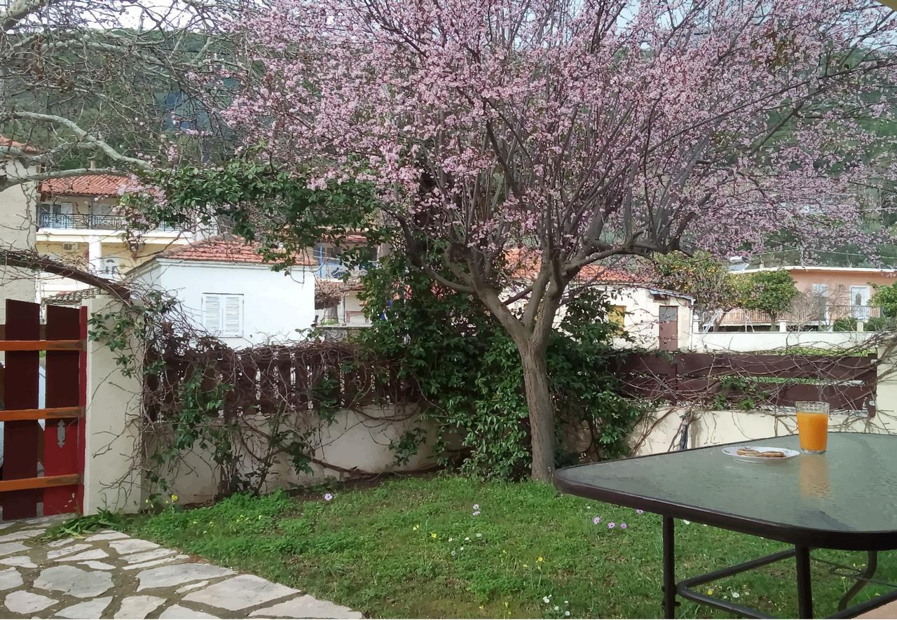 Villa The Platanus Tree Kato Vasiliki 외부 사진